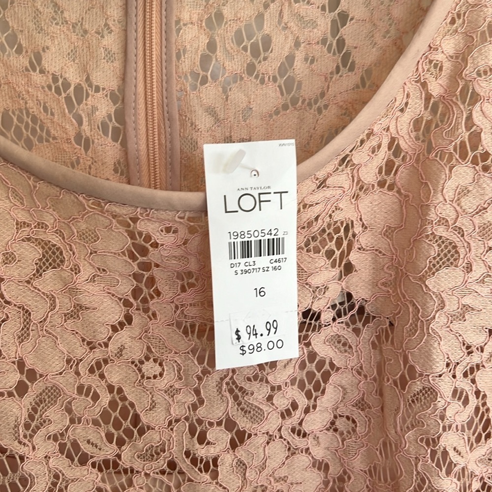 NWT Ann Taylor Loft Eyelash Lace Pink Sheath Dress Mini Above Knee - Picture 3 of 6